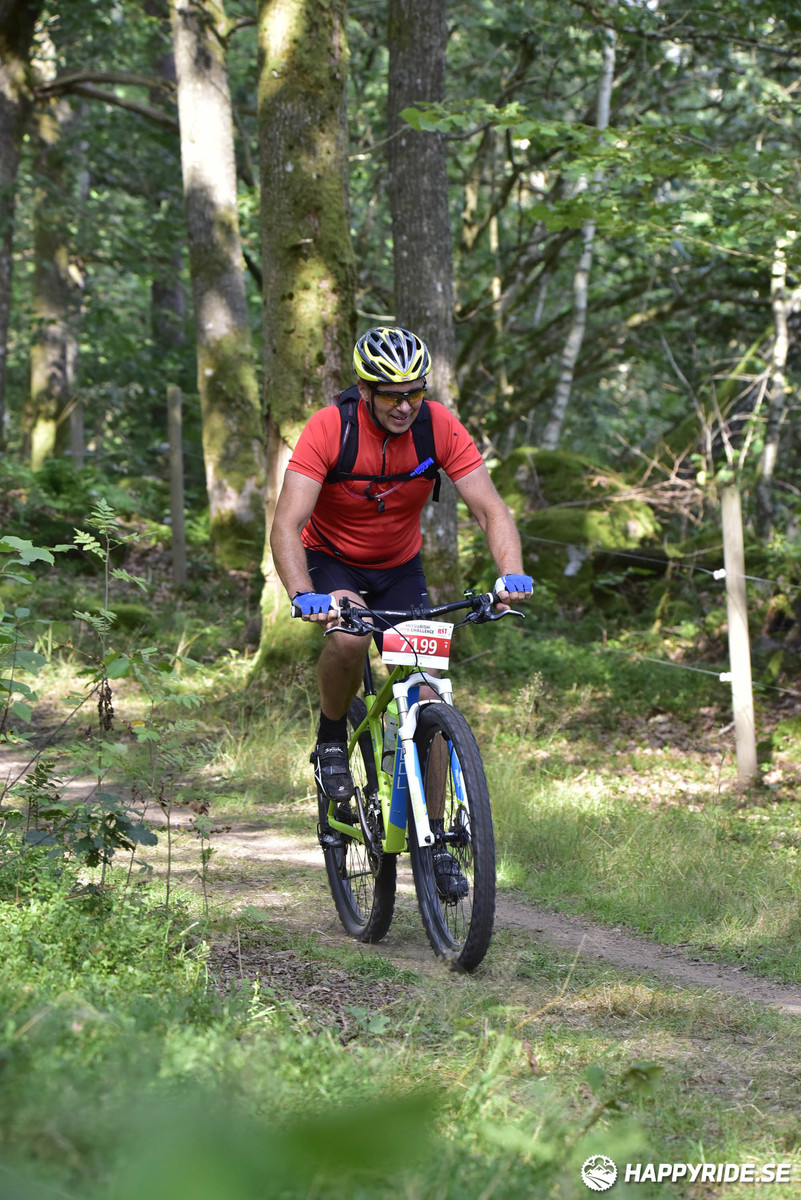 Bild från Bockstensturen 2019